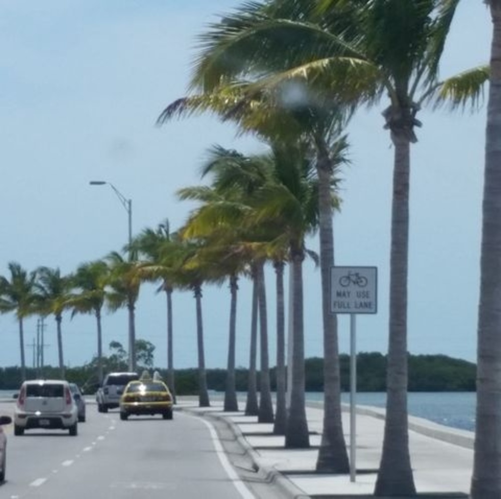 Meet your Posher, Annette